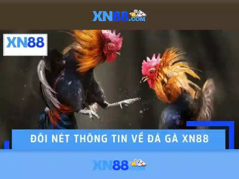 xn88 android xn88 – Tổng quan chủ đề và giá trị cốt lõi