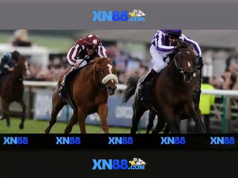 Phản hồi người dùng và cộng đồng jpn.com xn88