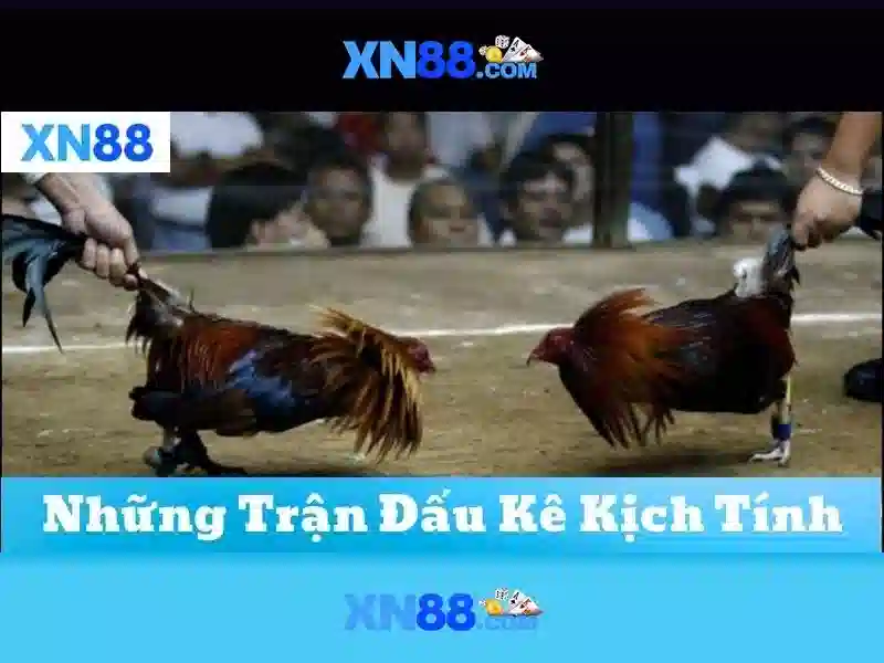 Tổng quan xn88 vip