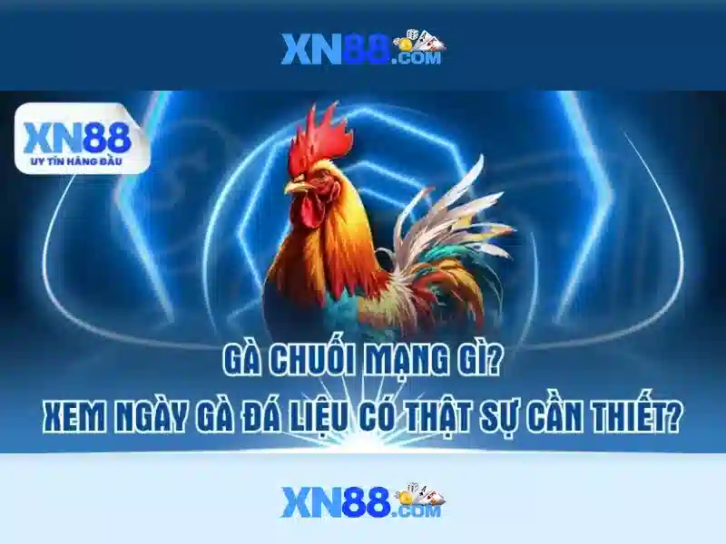 Cách tham gia và an toàn cho người chơi