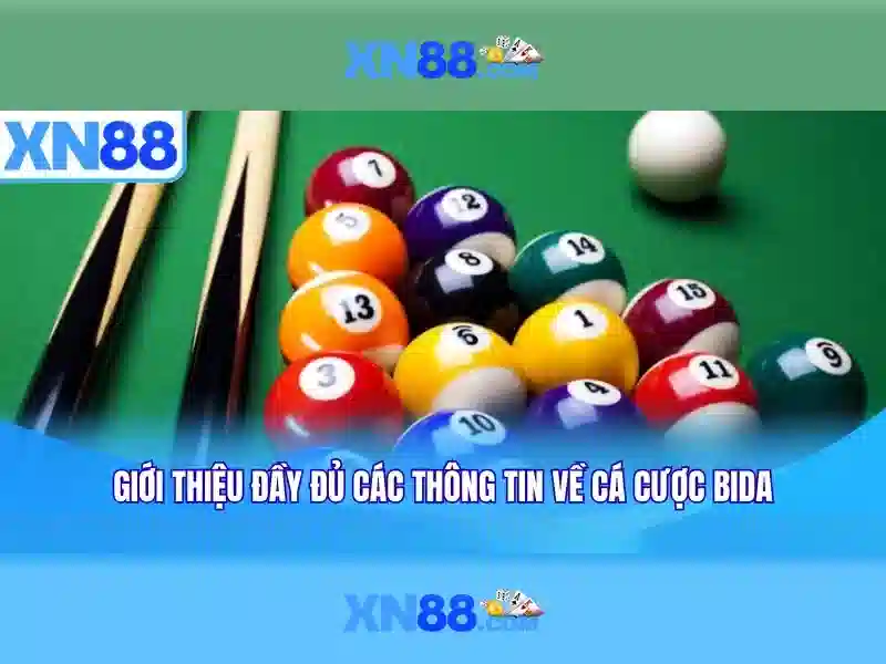 Hướng dẫn tham gia và thanh toán