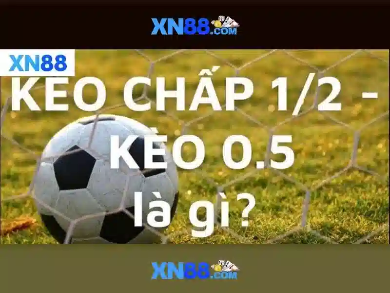 Lý do người chơi chọn xn88