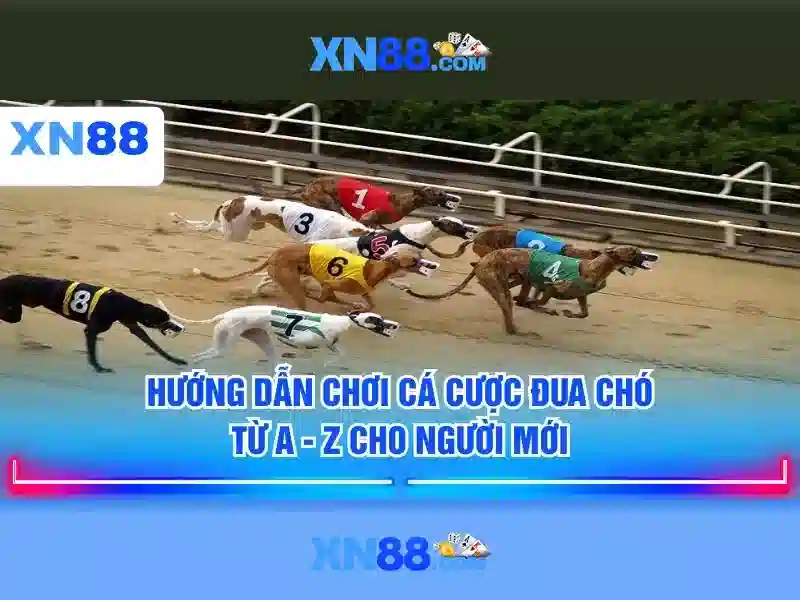 xn88 android xn88: Trải nghiệm và hệ sinh thái