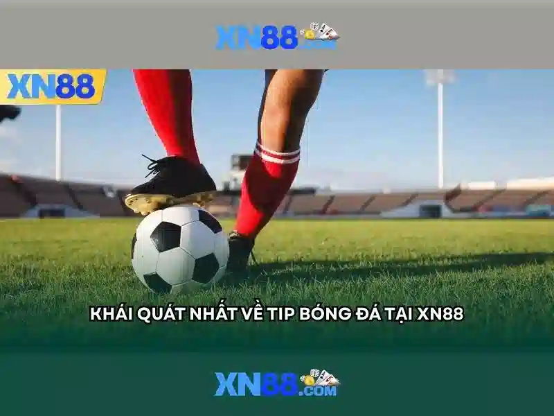 Chính sách hỗ trợ và khuyến mãi