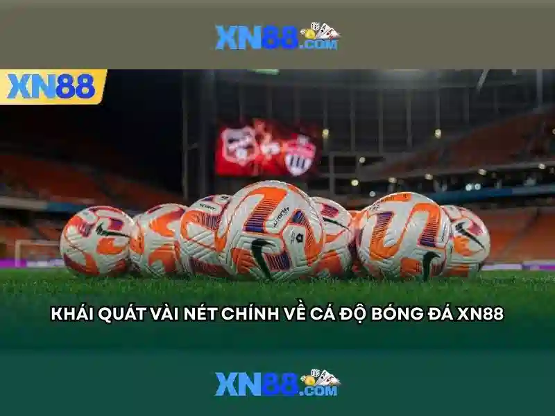 Lý do xn88 thu hút người chơi