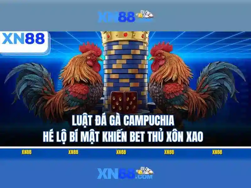 Trai nghiem nguoi dung<h>Ket luan</h><p><span style=