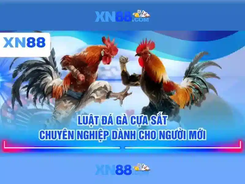 Hướng dẫn đăng ký và gặp sự cố