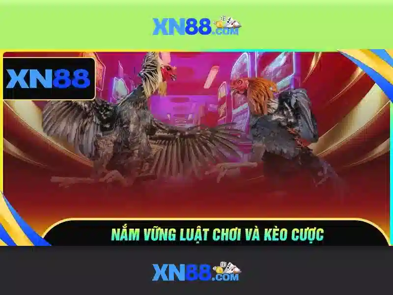 Giới thiệu về xn88