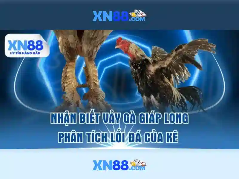 xn88: một cái nhìn tổng quan về sự hiện diện trực tuyến Giao diện nhà cái hoàn hảo