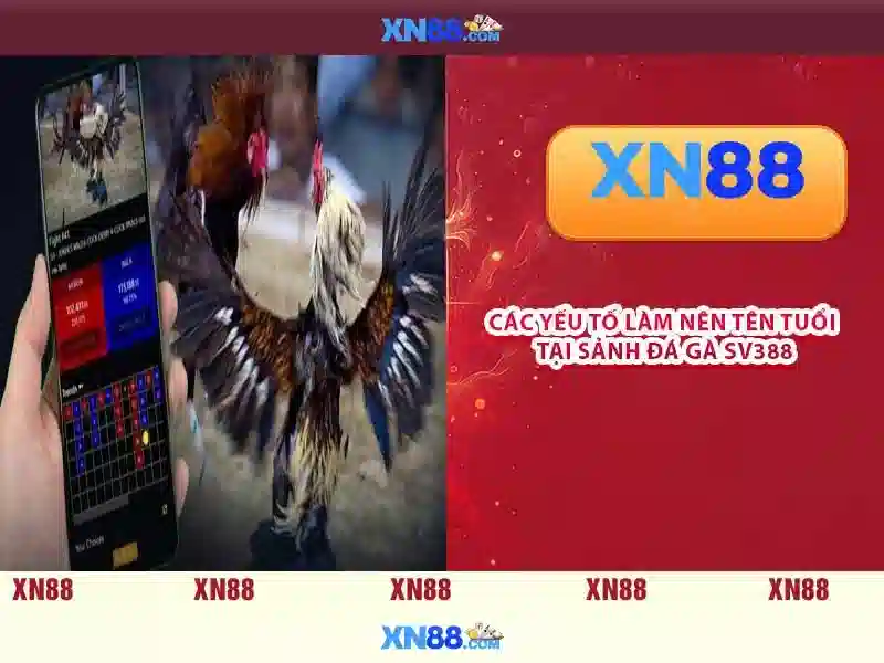 Tổng quan về XN88