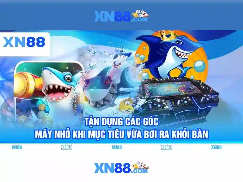xn88 - Tổng quan về nền tảng cá cược trực tuyến