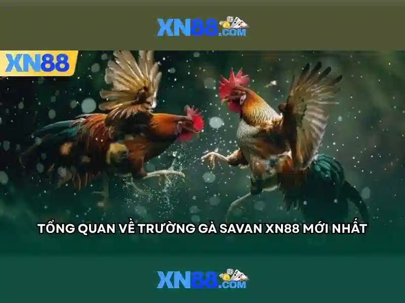 Giao diện nhà cái hoàn hảo