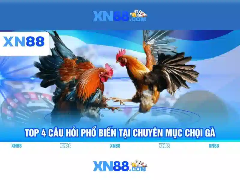 Lịch sử và phát triển