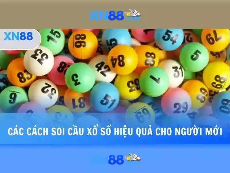 xn88: Nền tảng cá cược trực tuyến và ảnh hưởng của nó