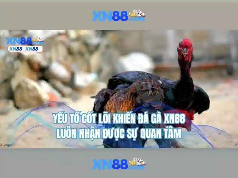An ninh và thanh toán