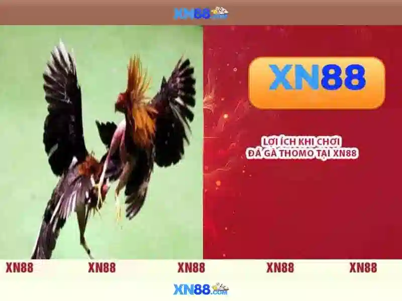 xn88: một nền tảng trực tuyến cho trò chơi và giải trí Giao diện nhà cái hoàn hảo