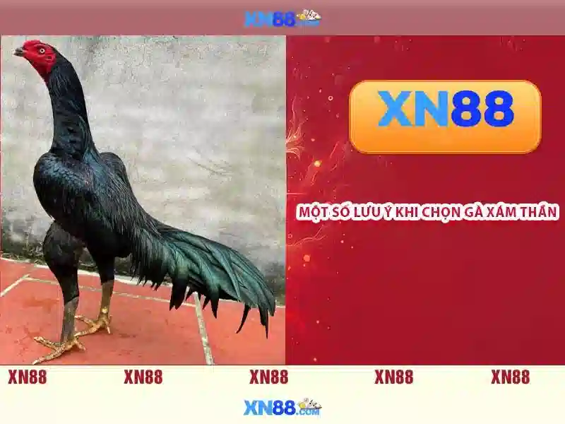 Các sản phẩm và trò chơi<p><span style=