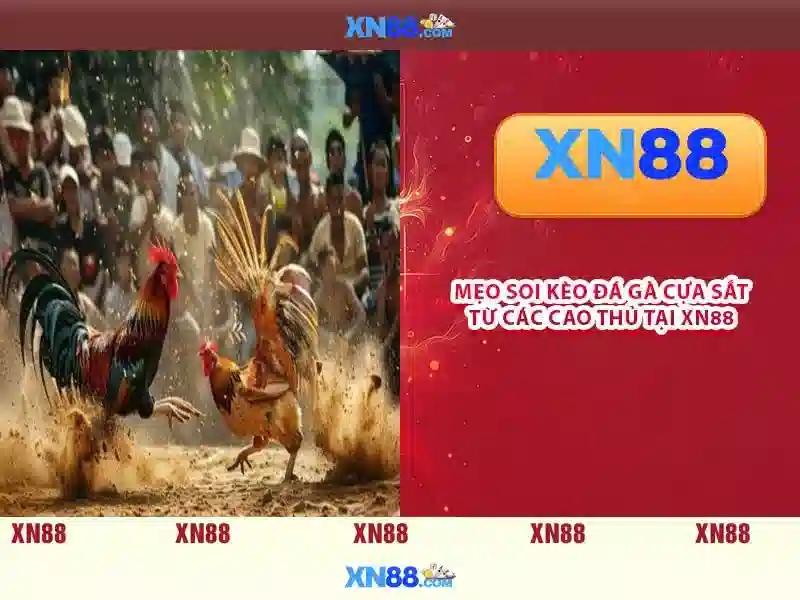 <!--IMG_PLACEHOLDER alt>Nguồn gốc từ khóa và sứ mệnh-->