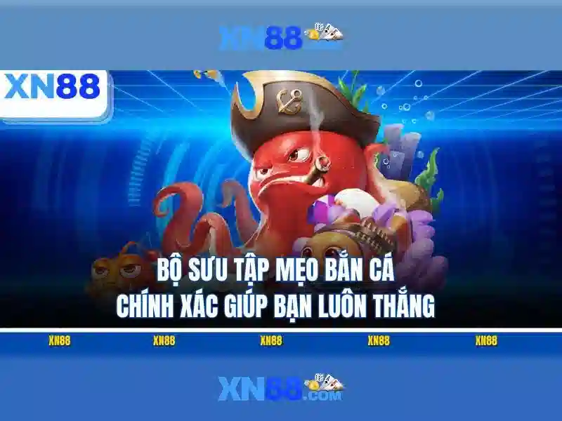 Lịch sử và nguồn gốc của xn88