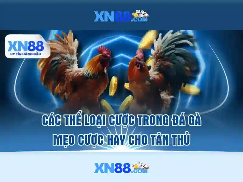 xn88 là gì và những điều nên biết