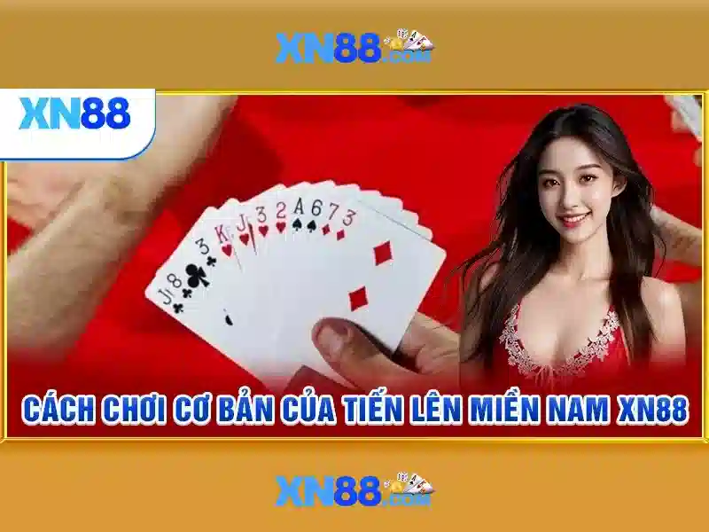 Giao diện nhà cái hoàn hảo