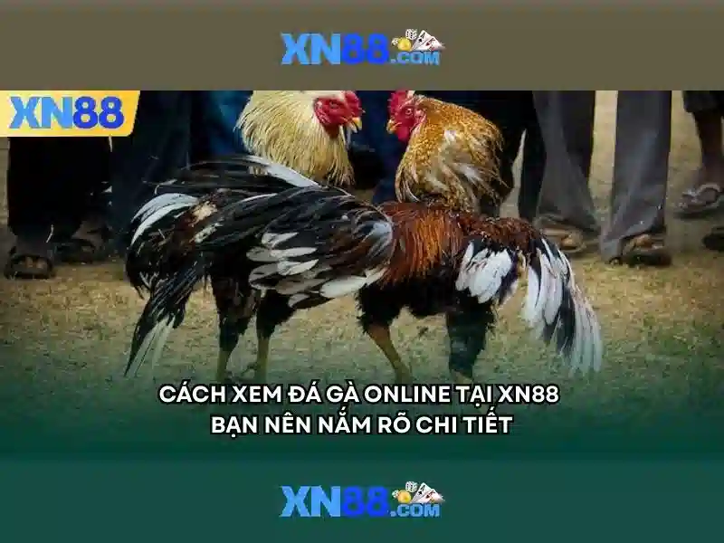 Các tính năng nổi bật của xn88