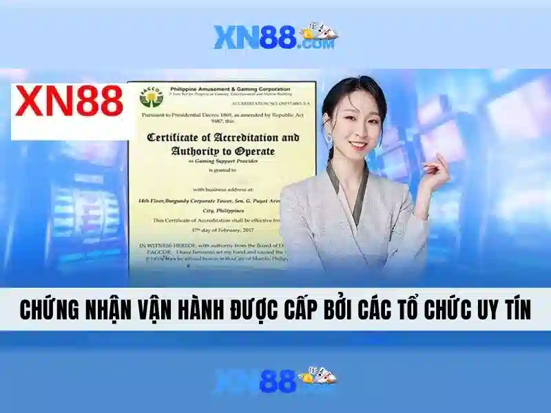 Kết nối dịch vụ