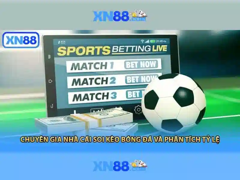 Lịch sử và nguồn gốc