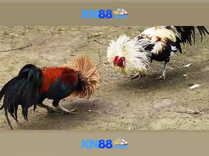 Hướng dẫn đăng ký và nạp tiền