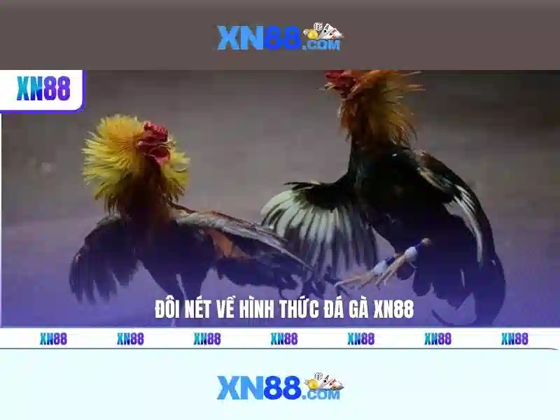 An toàn và hỗ trợ khách hàng