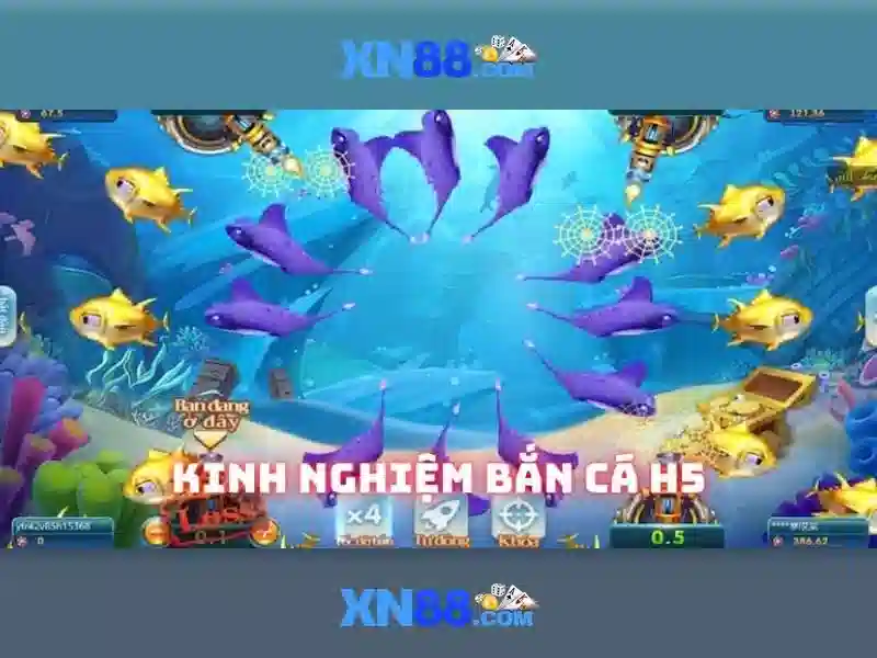 Các tính năng cược và bảo mật