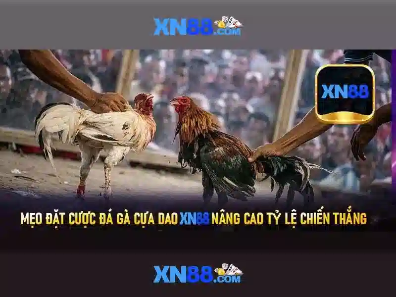 Giao diện nhà cái hoàn hảo