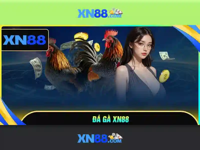 Đa dạng trò chơi và nhà cái