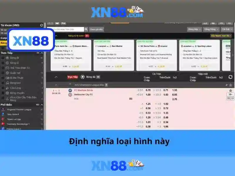 Hỗ trợ người chơi và cách liên hệ