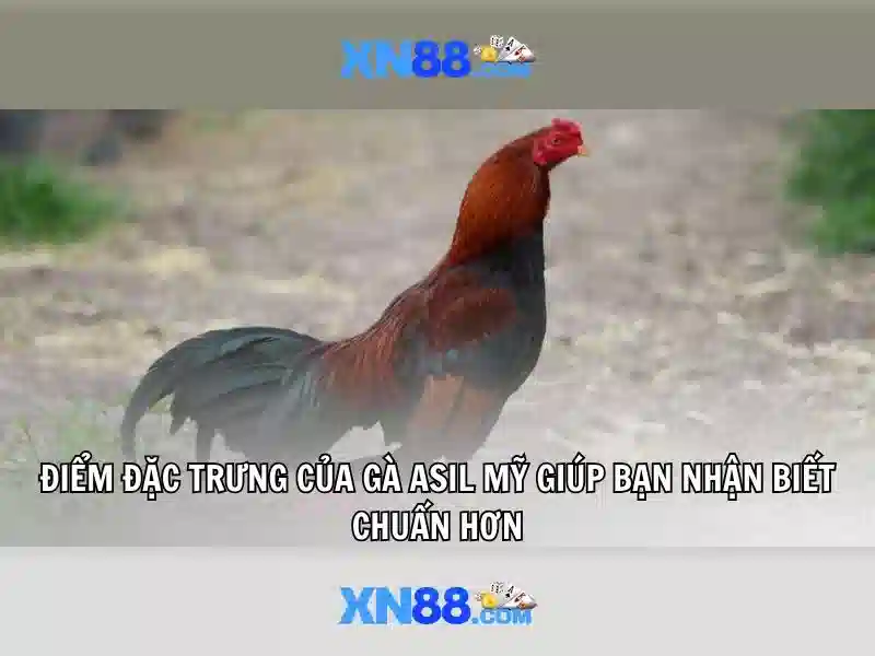 Dịch vụ và tính năng nổi bật\n<h2><b>An toàn và bảo mật</b></h2>\n<p><span style=