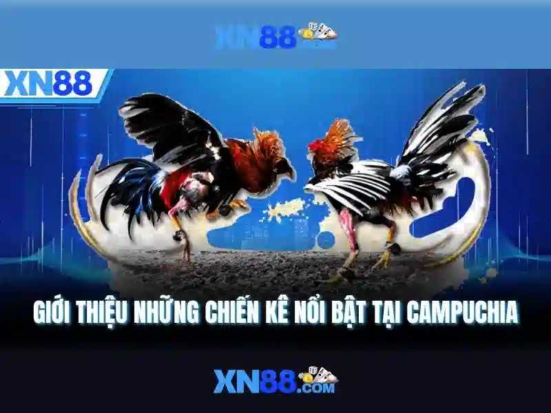 Xn88: Nền tảng giải trí trực tuyến và trải nghiệm người dùng Giao diện nhà cái hoàn hảo