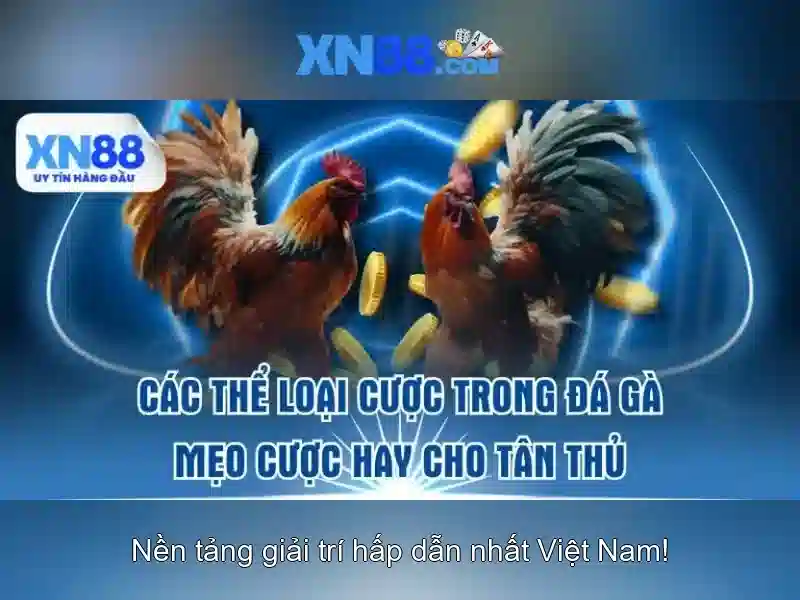 Khái niệm về xn88