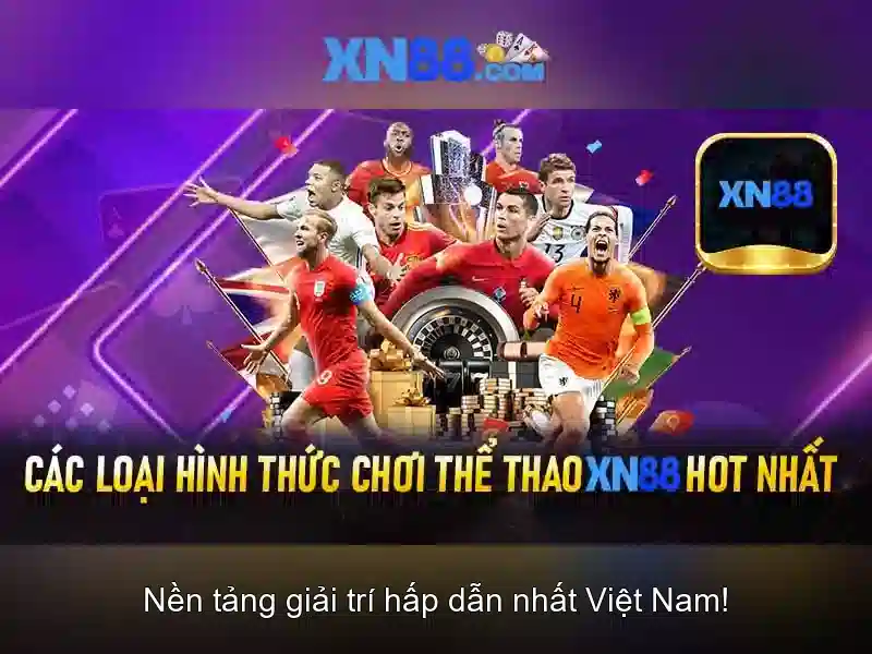 Trải nghiệm người dùng