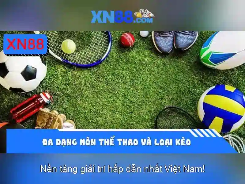 Giao diện nhà cái hoàn hảo