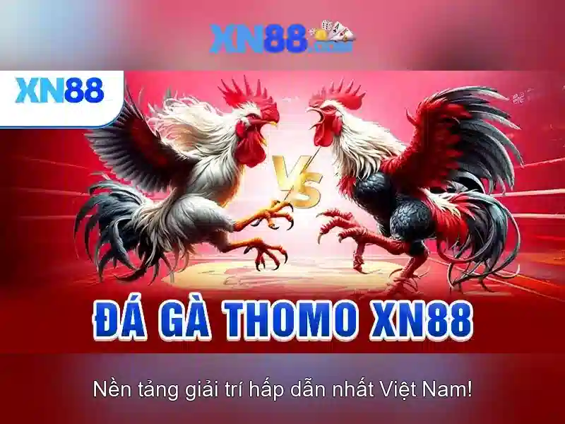 xn88: Nền tảng giải trí và đánh giá tổng quan Giao diện nhà cái hoàn hảo