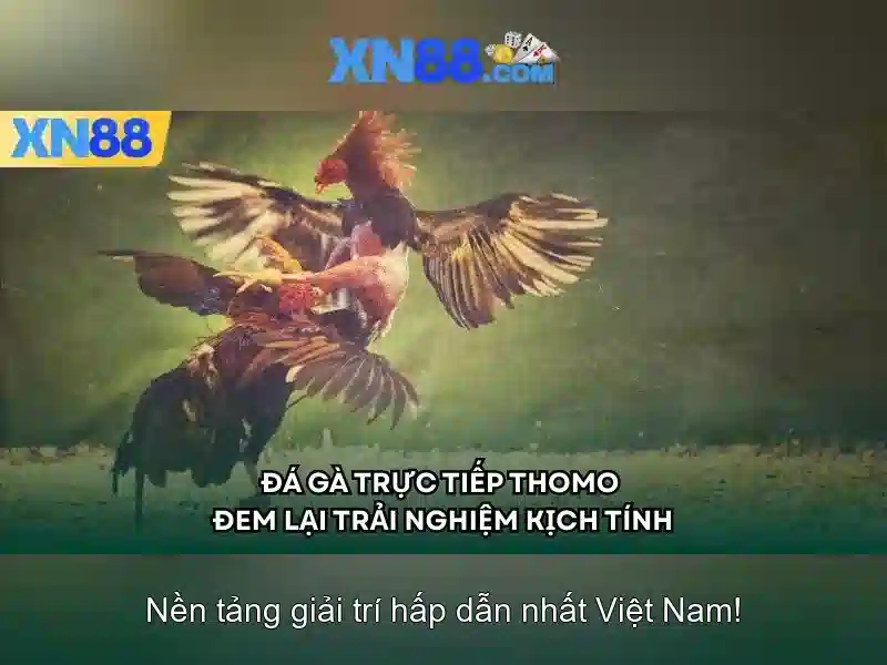 xn88: Khám phá nền giải trí trực tuyến và tiềm năng đổi thưởng