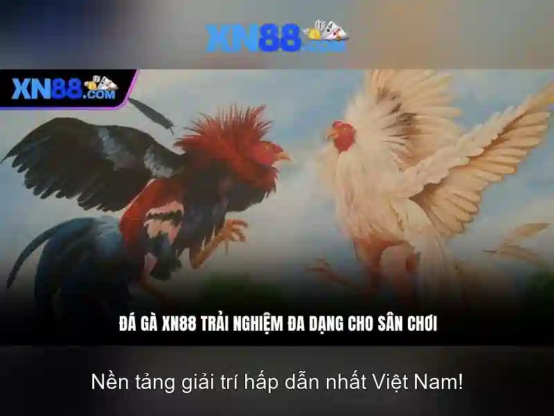 Giao diện nhà cái hoàn hảo