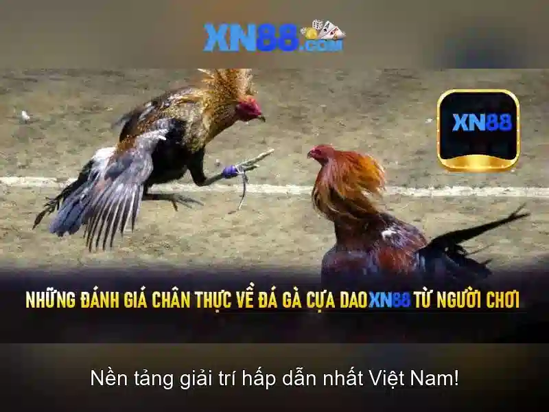 Xn88: Tổng quan về nền tảng và tác động của nó