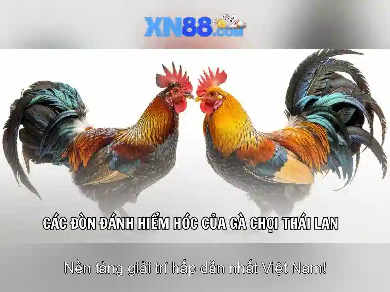 An toàn và cấp phép