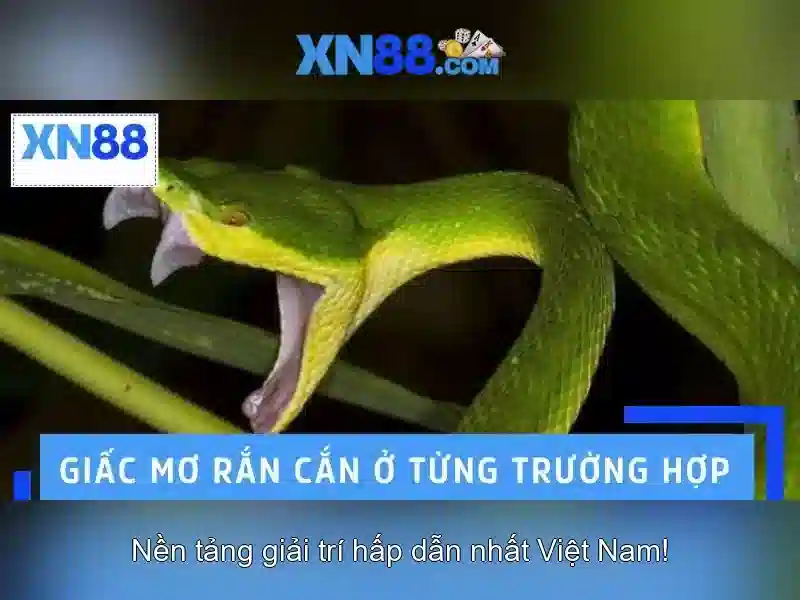 Giao diện nhà cái hoàn hảo