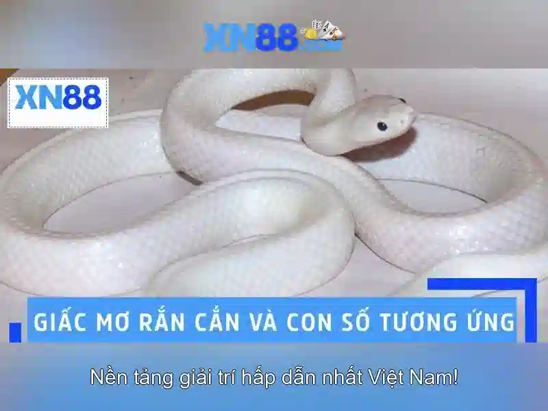 Nguồn gốc và sứ mệnh của xn88.,