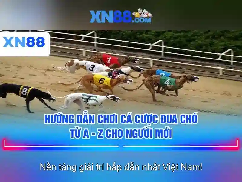 Gioi thieu ve xn88