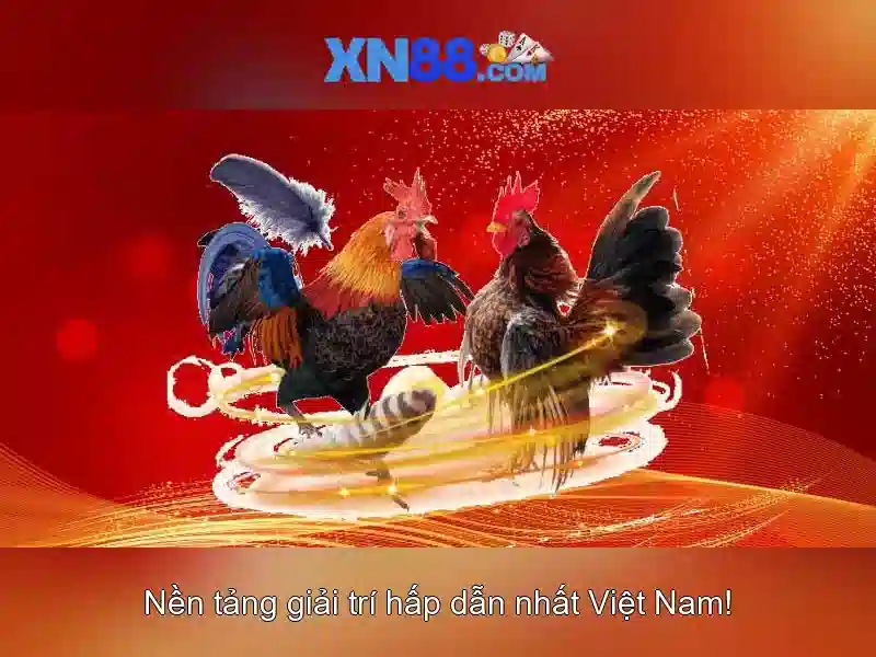 Giao diện nhà cái hoàn hảo