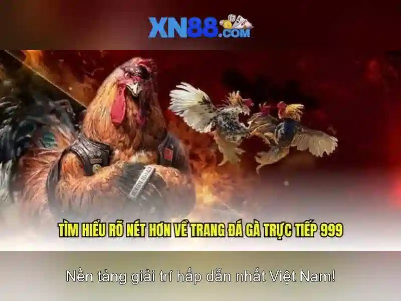 XN88: Nền tảng sáng tạo và tin cậy cho người dùng
