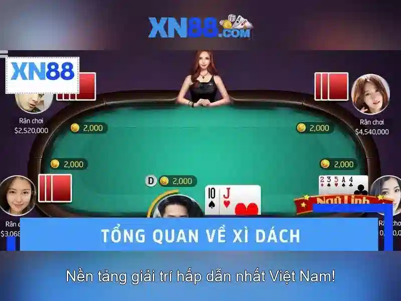 Tổng quan về giao diện và trải nghiệm người dùng